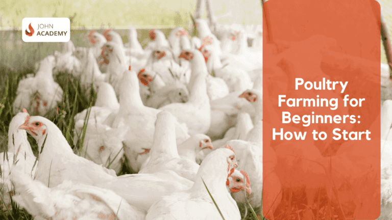 Poultry Farming For Beginners: How To Start | John Academy