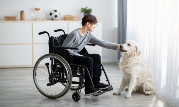 Animal Assisted Therapy