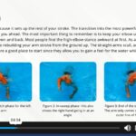 Freestyle Swimming Training1