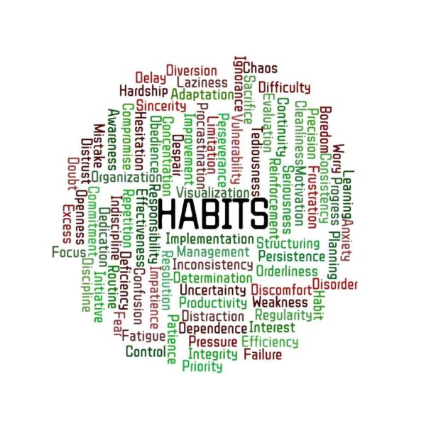 Habit Formation Strategies