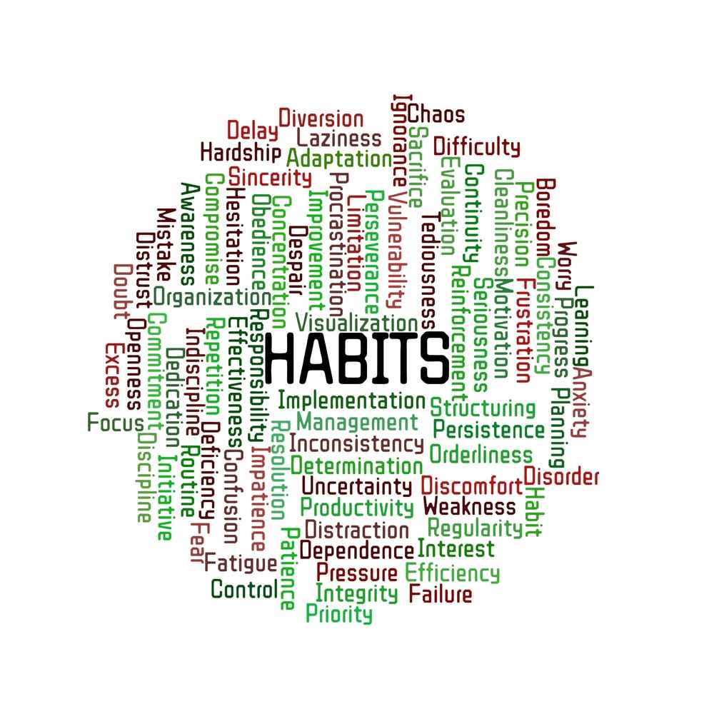 Habit Formation Strategies